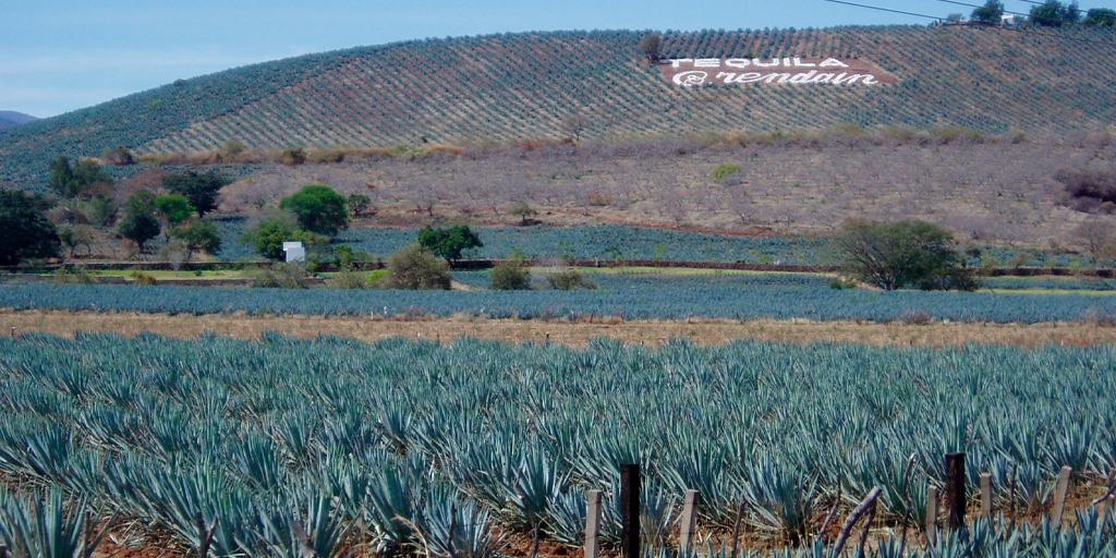 Todo Sobre Seguros, Vehículos, Paisaje de Tequila, Pueblo Mágico de Tequila, Viaje Todo Incluido, Seguro de Auto